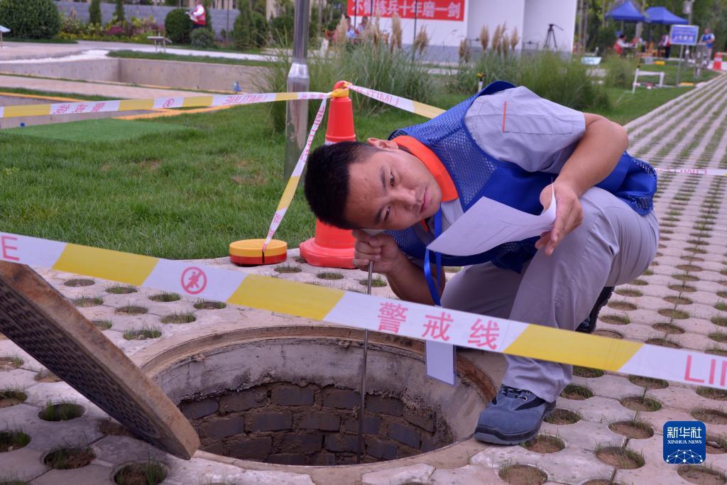 摇钱树app下载